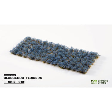 Gamers Grass GGFS-BLU Bluebeard Flowers